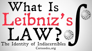 What is Leibnizs Law The Identity of Indiscernibles [upl. by Jd]