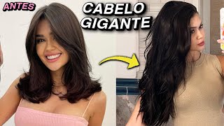 COMO MEU CABELO TÁ CRESCENDO TÃO RÁPIDO Dicas receitas e [upl. by Ellenrahc]