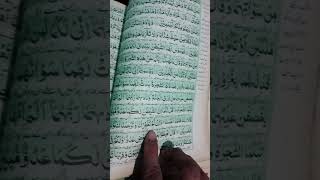 Rabana Zalamna Unfusana 💞islamicvideo fyp foryou viralvideo growmychannel alidyoutuber [upl. by Merl773]