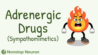 Classification of Adrenergic Drugs  Individual Adrenergic Drugs  Sympathomimetics Pharmacology [upl. by Rellim291]