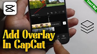 How To Add Overlay In CapCut 2024 Android amp iOS [upl. by Kurtis645]