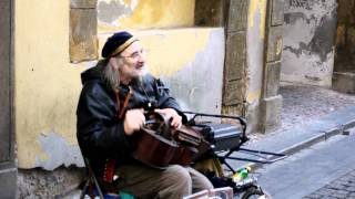 Hurdy Gurdy Street Performer in Prague [upl. by Alimat323]