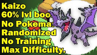 Pokemon Kaizo Ironmon is an impossible challenge [upl. by Kauslick]