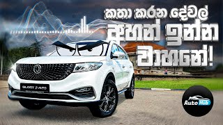 කතා කරන දේවල් අහන් ඉන්න DFSK Glory iAuto Review Sinhala  Auto Hub [upl. by Alokin]