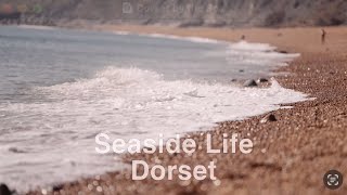 Seaside Life in Dorset [upl. by Kahler]