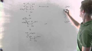 Fünffachzucker Haworth Fischer Teil2 Chemie  Klett Lerntraining [upl. by Namyl140]