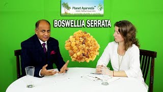 Boswellia Serrata  A Potent Pain Relieving amp Antiinflammatory Herb [upl. by Ymmij]