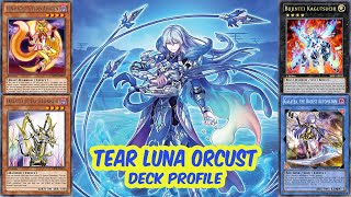 TEARLAMENTS LUNALIGHT ORCUST Deck Profile Jan 2024 [upl. by Eenerb]