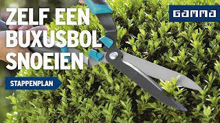 Buxusbol snoeien  Tuinvideos  GAMMA België [upl. by Hcahsem]