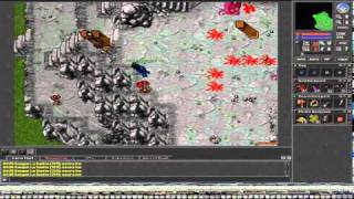 Tibia Bot Kill in Non PvP 39 quot219 ekquot [upl. by Brodie674]