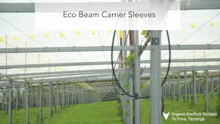 Eco Beam Full Steel Kiwifruit Orchard [upl. by Horsey]