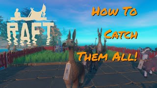 Raft  How to Capture Animals and Bees [upl. by Tripp]