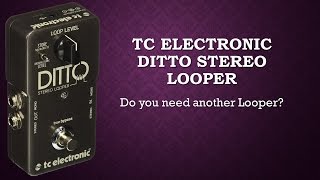 TC Electronic Ditto Stereo Looper [upl. by Gianni]