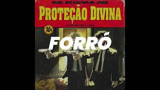 PROTEÇÃO DIVINA Forró [upl. by Novelc]