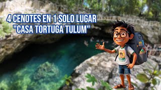 Cenotes Casa Tortuga Tulum 4K  Guia Completa [upl. by Navak]