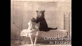 The Circus Sands  In Ecstasy [upl. by Schmitz]