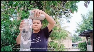 Process of making a diy water filter [upl. by Lawrenson462]