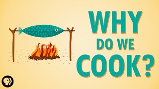 Why Do We Cook [upl. by Eilra]