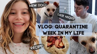 VLOG Quarantine Week In My Life  G Hannelius [upl. by Erodoeht]