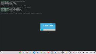 how to install tlancher on chromebooklinux [upl. by Enial985]