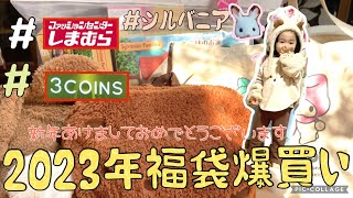 【2023初売り福袋爆買い】新年あけましておめでとうございます🎍今年もどうぞよろしくおねがいします🙇‍♀️【しまむら福袋】子供服 開封動画 シルバニアファミリー マイメロ ワンワン [upl. by Gualtiero795]