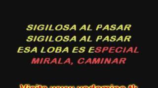 LOBA SHAKIRA KARAOKE BOY [upl. by Yael358]