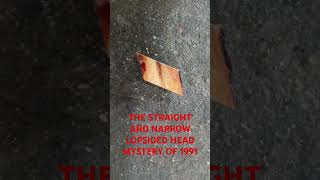 THE LOPSIDED HEAD MYSTERY OF THE STRAIGHT AND NARROW 1991 [upl. by Ettenay]