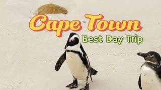 Cape Town  Cape of Good Hope Boulders Penguins and more [upl. by Ennoryt]