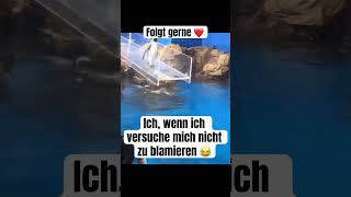 Der lustigste Pinguin aller Zeiten 😂 viralvideo viralshorts funny [upl. by Muffin676]