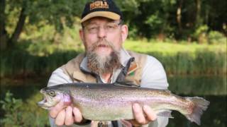 John Lewis Fly Fishing Club Corporate Day [upl. by Aneekal]