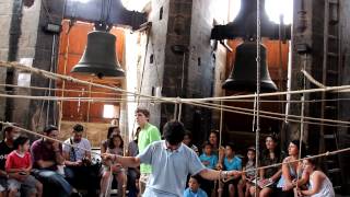 Cathedral Bells Concert  Valencia Spain [upl. by Ellenet]