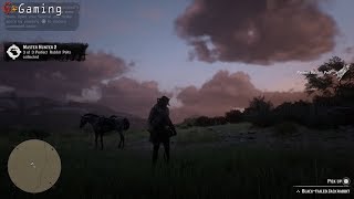 Red Dead Redemption 2  How to Get Perfect Rabbit Pelt  Easy Guide  PS4 Pro [upl. by Camilia958]