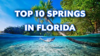 Top 10 Springs In Florida You Must Visit  Ultimate Florida Springs Bucket List [upl. by Laurella647]