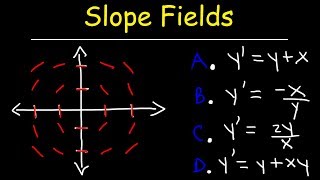 Slope Fields  Calculus [upl. by Aisel]