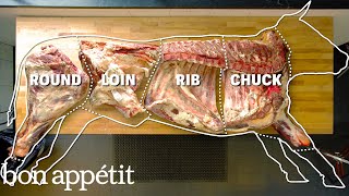 How To Butcher An Entire Cow Every Cut Of Meat Explained  Bon Appetit [upl. by Aiynot]