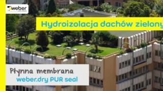 System płynnych hydroizolacji weberdry PUR SYSTEM Dachy zielone Balkony i tarasy Żywice na dach [upl. by Ledda59]