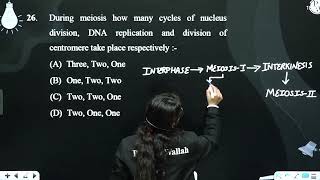 During meiosis how many cycles of nucleus division DNA replication and division of centromere t [upl. by Richmound]