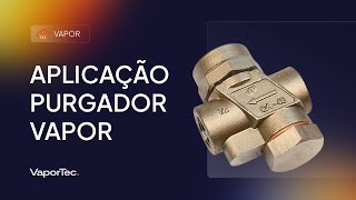 Aplicação Purgador Vapor [upl. by Ehcar]