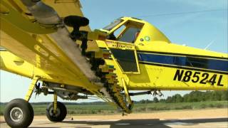 Cropdusting  Mississippi Roads  MPB [upl. by Eylsel]