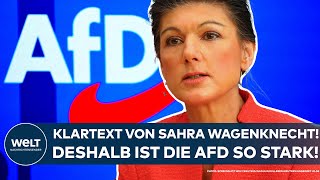 WAGENKNECHT Klartext der Bundestagsabgeordneten Das ist der Grund warum die AfD so stark ist [upl. by Ehcropal]