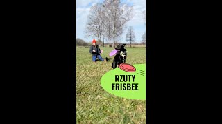 Jak prawidłowo rzucać psu frisbee  John Dog [upl. by Drofnas688]