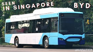 Spotted in Singapore  Incomplete BYD Gemilang Electric Bus bound for Australia [upl. by Laverna964]