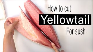 How to break down yellowtail hamachi into parts for sushi [upl. by Ahsoek]