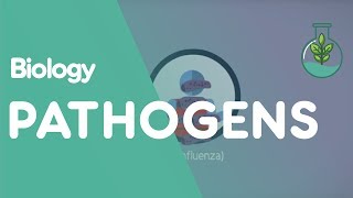 What Are Pathogens  Health  Biology  FuseSchool [upl. by Lindbom748]