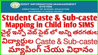 Student Caste and Sub caste mapping in Child info CSE  How to enter Students Catesubcaste details [upl. by Yager]