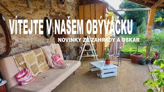 Honzík Lací  Vlog Vítejte v našem obýváčku [upl. by Altis]