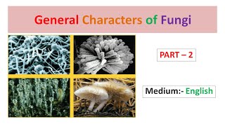 General Characters of Fungi Part2 English [upl. by Ileana613]