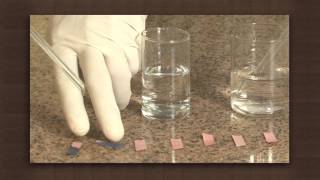 Neutralisation Reaction of Sodium Hydroxide and Hydrochloric Acid [upl. by Vastha245]