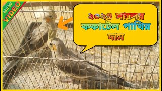 ককাটেল পাখির দাম ২০২৪  Cockatiel bird price 2024  Cockatiel Pakhi Dam 2024  গোয়ালিমান্দ্রা হাট [upl. by Ahsinnek]