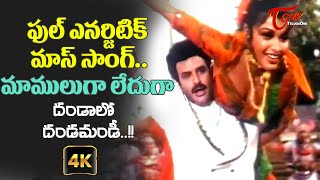 NBK Full Energetic Song  Dandalo Dandamandi Song with 4K  Vansanikokkadu Movie  Old Telugu Songs [upl. by Heiner]